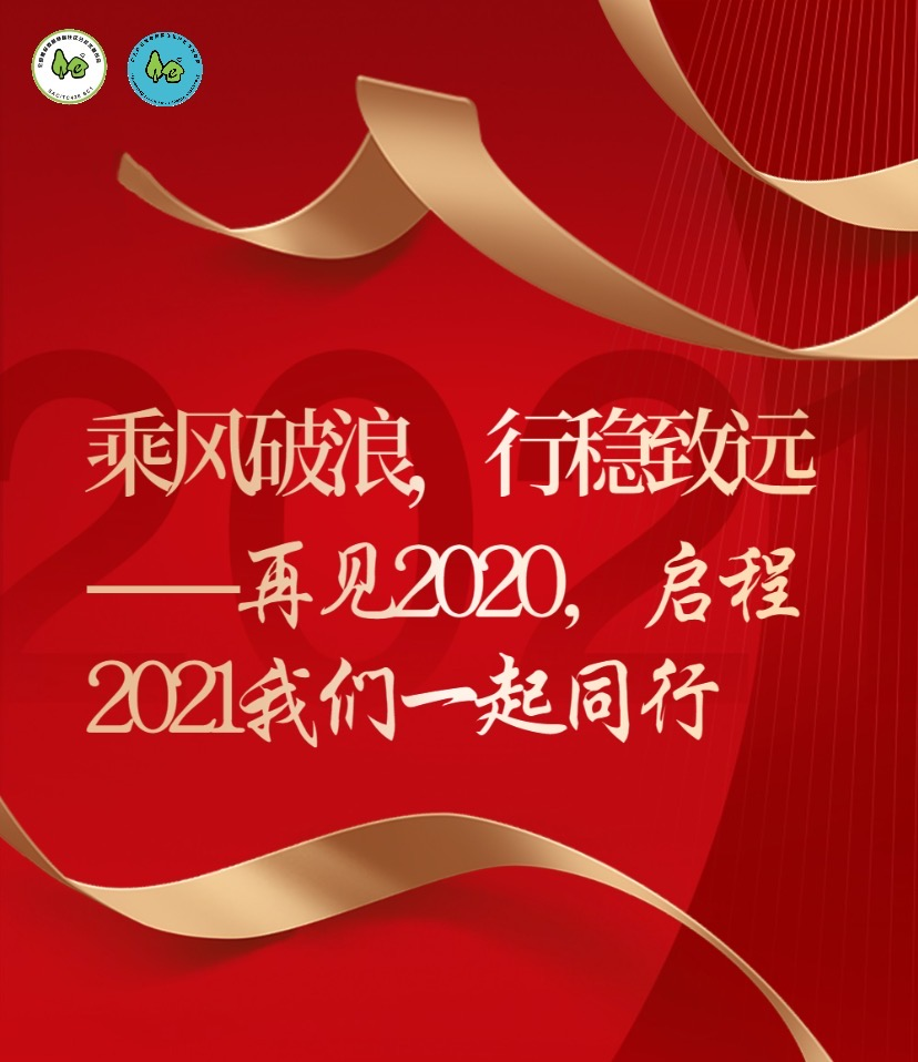 乘风破浪，行稳致远——再见2020，启程2021我们一起同行